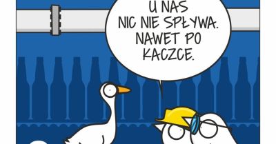 Najpierw dialog, teraz działanie - Browar Bosman publikuje pierwszy Lokalny Raport Wpływu dla Szczecina